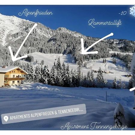 Apartment Tennengebirge Sankt Martin am Tennengebirge Eksteriør billede
