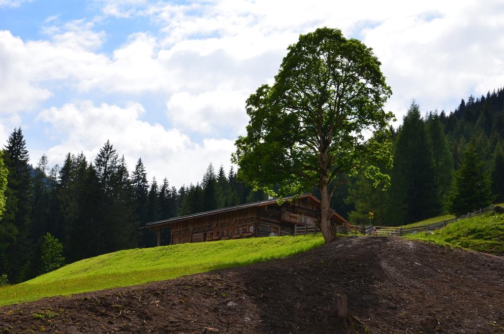 Apartment Tennengebirge Sankt Martin am Tennengebirge Eksteriør billede