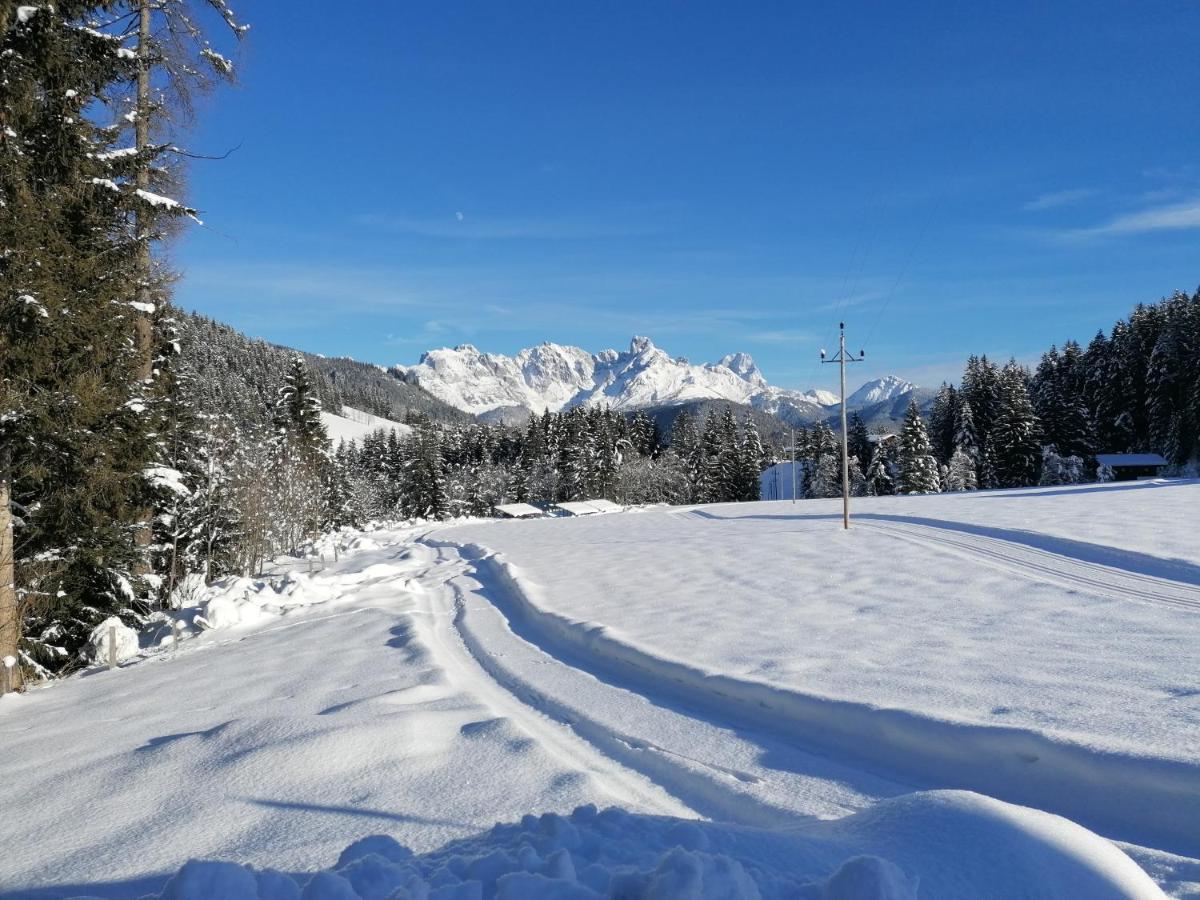 Apartment Tennengebirge Sankt Martin am Tennengebirge Eksteriør billede